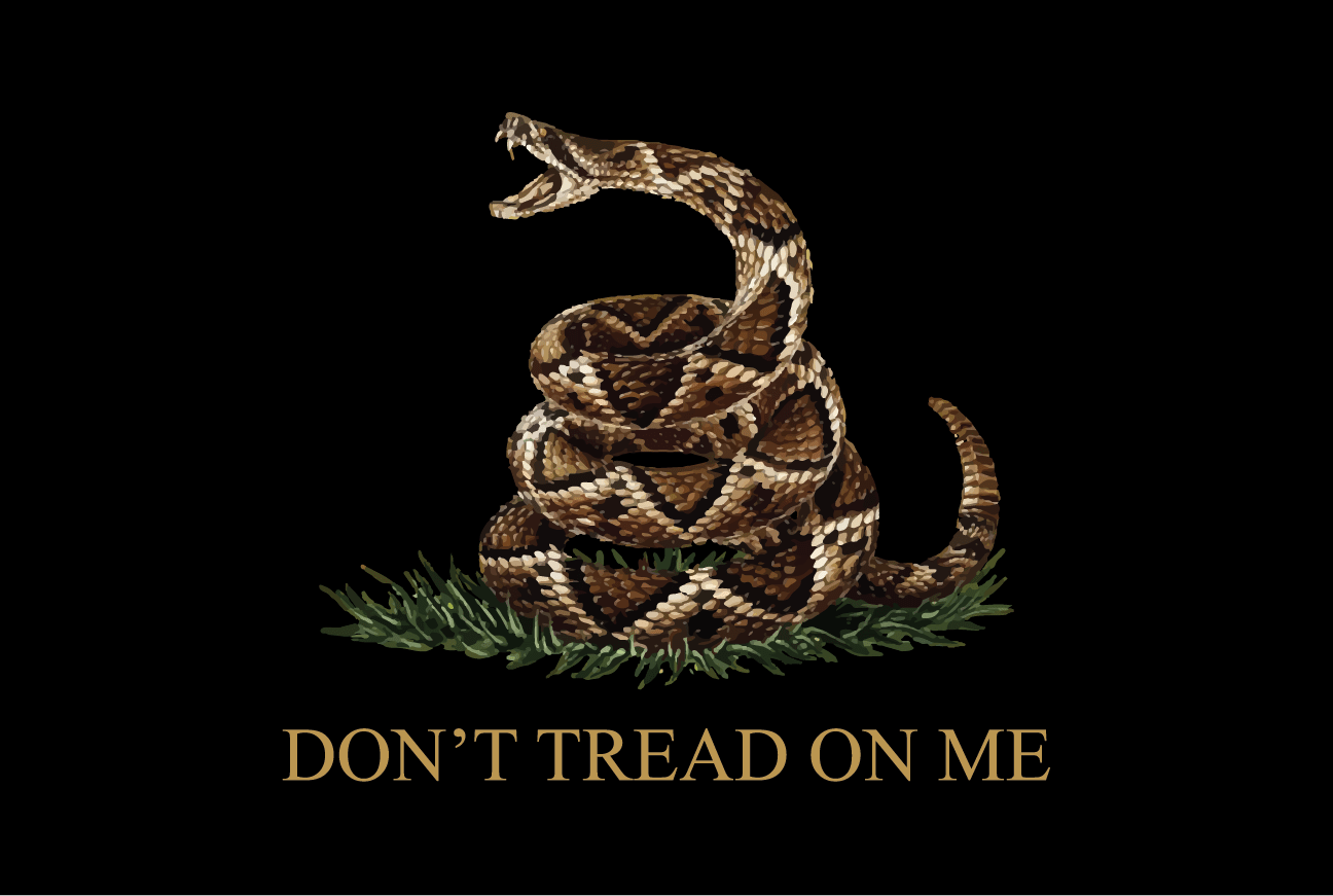 Fest Flags Custom ATV Flags Gadsden | Don't Tread On Me - Whip Flag - Black HD