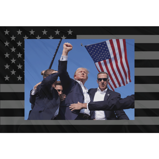 Fest Flags Political Flags 6 X 9 Inch Rectangle / Single Sided Trump Defiance Flag - Black Grey USA