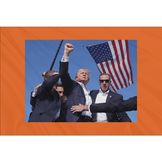 Fest Flags Political Flags 6 X 9 Inch Rectangle / Single Sided Trump Defiance Flag - Orange