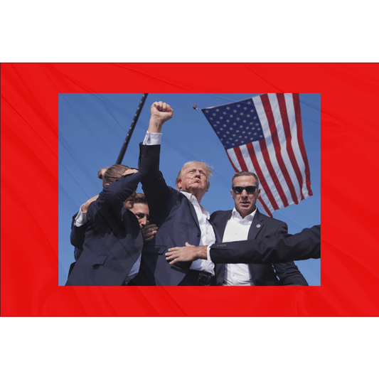 Fest Flags Political Flags 6 X 9 Inch Rectangle / Single Sided Trump Defiance Flag - Red