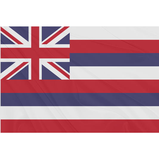 Fest Flags State 6 X 9 Inch Rectangle / Single Sided Hawaii State Flag