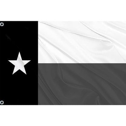 Fest Flags State 6 X 9 Inch Rectangle / Single Sided Texas State Flag - Black Grey